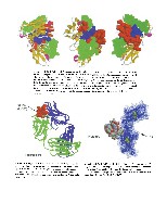 Bhagavan Medical Biochemistry 2001, page 1065